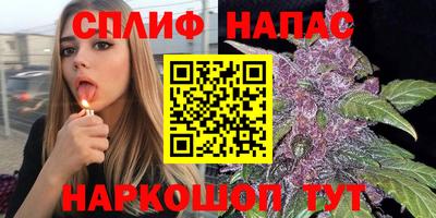 сатива Донецк