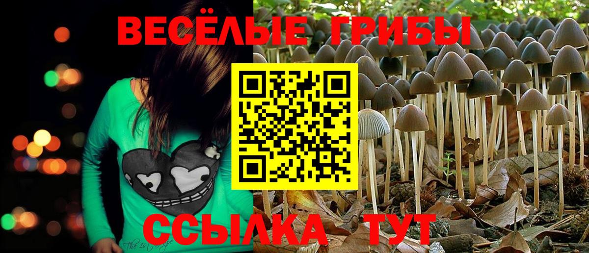 Галлюциногенные грибы мухоморы  Вход с VPN  купить наркоту  Ишим  Псилоцибиновые грибы Psilocybe 