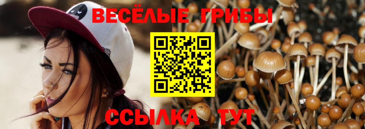 Псилоцибиновые грибы Psilocybe Ишим